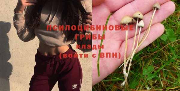 дживик Абаза
