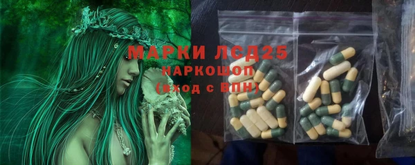 дживик Абаза