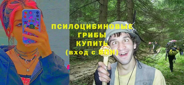 тгк Абдулино